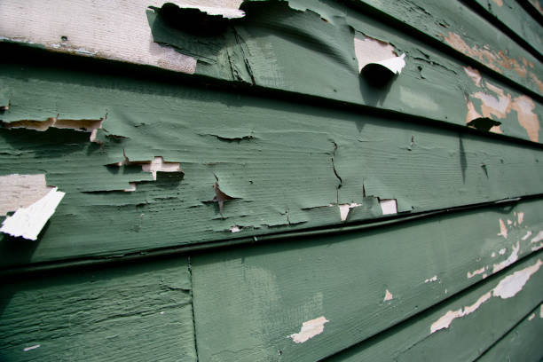 Best Same-Day Junk Removal Services  in Monrovia, IN